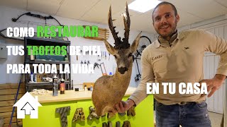 TAXIDERMANIA 7ºCAPITULO COMO RESTAURAR UNA TAXIDERMIA [upl. by Joletta]