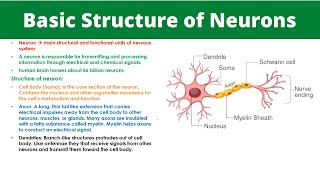 BASIC STRUCTURE OF NEURONS  Coordination and Control [upl. by Markos]