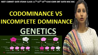 CODOMINANCE amp INCOMPLETE DOMINANCE Difference I Genetics I NEET CSIRNET IITJAM GATE CLASS 11 12 10 [upl. by Macur]