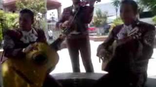 Molinos de viento version mariachi [upl. by Aisenet424]