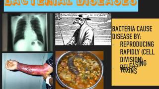 Communicable Diseases GCSE [upl. by Zetram]