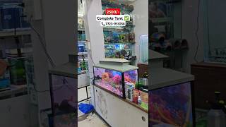 Complete Aquarium Tank ✅ aquarium newfishtank love fishtank fish [upl. by Ocram]