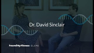 The link between sirtuins calorie restriction fasting and the insulin pathway  David Sinclair [upl. by Trescha]