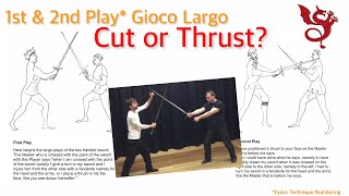 CUT or THRUST  Sword Plays 1amp2 Gioco Largo  Fiore dei Liberi  Exiles [upl. by Nirtiak22]