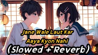 Jane Wale Laut Kar Aaya Kyon Nahi Mix Slowed  Reverb [upl. by Mansoor]