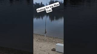 Fishing for big river Blue catfish STAY TUNED [upl. by Namya]