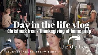 Getting our Christmas tree 🎄  Storytime on haunted house and Thanksgiving meal haul Ditl vlog [upl. by Nah]