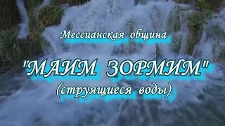 20240720Награда тем кто проклинает Израиль [upl. by Uol792]