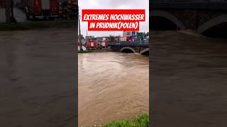 Extremes Hochwasser in PrudnikPolen heavyrain hochwasser polen prudnik viralvideo foryou [upl. by Iramat]