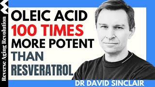 DAVID SINCLAIR “Oleic Acid 100 Times More Potent Than Resveratrol”Dr David Sinclair Interview Clips [upl. by Ariella761]