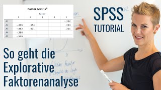 Die Explorative Faktorenanalyse mit SPSS zur Analyse von Fragebögen [upl. by Garibull]