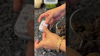 lunchideas tiffin love vlog kidslunchbox [upl. by Rainie]