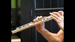 Eppler Silver Flute with Cocus Wood Headjoint used for SaleSound Demo [upl. by Yssim]