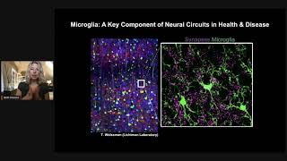 Redefining Microglia States and Function in Alzheimer’s Disease [upl. by Ataynek517]