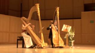 JS Bach Jesu Joy of Mans Desiring Harp Duet [upl. by Rosana238]