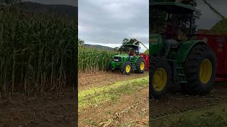 JOHN DEERE 6125J COM ENSILADEIRA NOGUEIRA FTN 1150 [upl. by Snodgrass370]