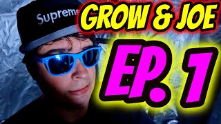 GROW amp JOE Episode 1 [upl. by Decca]