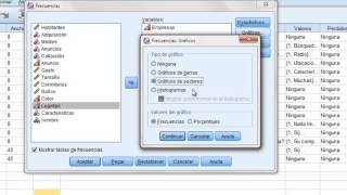 tabla de frecuencia en SPSS [upl. by Alegnaoj]