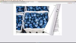 How to Publish a Digital Magazine from InDesign 3  Digital Flipbook with Spreads [upl. by Eselahc]