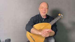 The Fundamentals of Lute Playing Episode 43 Ring Finger Planting [upl. by Behre]