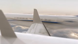 Gol Transportes Aéreos Flight 1907  Crash Animation [upl. by Ainezey]