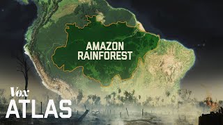 The destruction of the Amazon explained [upl. by Clapper]