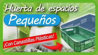 Cómo hacer una HUERTA CASERA en poco espacio usando CANASTAS PLÁSTICAS  PROYECTO CULTIVOS URBANOS [upl. by Burke609]