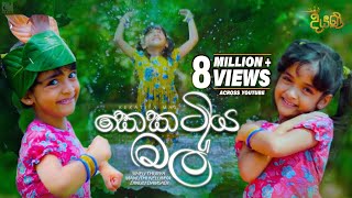 Kekatiya Mal කෙකටිය මල්  Various Artist  Diyani Teledrama Song  eTunes [upl. by Dilan462]