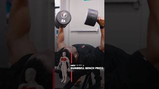 DUMBBELL CHEST PRESS How To [upl. by Nosyarg]