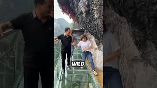 This Woman Cleans A Glass Bridge That Tourists Are Scared To Walk On 😲 [upl. by Kassi]