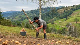 Carpathian Life and Potato Harvest in the Village [upl. by Wearing101]