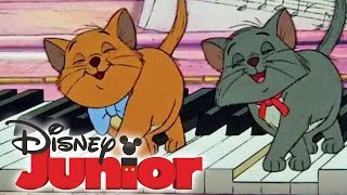 ARISTOCATS  Vorschau  am 06 Februar auf DISNEY JUNIOR [upl. by Damarra]