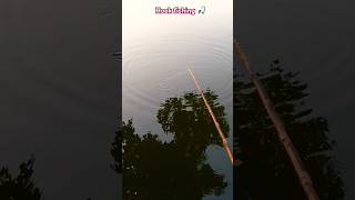 Village hook fishing 🎣 md007 phonk remix shorts youtubeshorts shortvideo viralvideo fish [upl. by Llerad340]