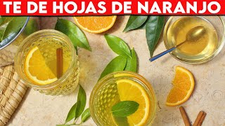 🔴 Beneficios Del TE DE HOJAS DE NARANJO Para La Salud ✅ PROPIEDADES Del TE DE HOJAS DE NARANJO [upl. by Weinreb]