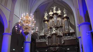 Martin Mans  Scheepje onder Jezus hoede  Hinsz orgel  Martinikerk Bolsward [upl. by Enilra]