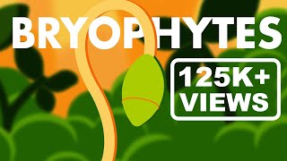 Bryophytes Class 11  Life Cycle of Bryophytes ANIMATION  Plant Kingdom Class 11  NEET [upl. by Morgan131]