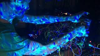 Polypores  Live Streamed set for The Ferret [upl. by Silvan]