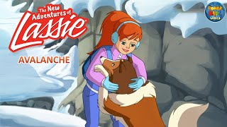 The New Adventures of Lassie  Avalance  Cartoon Series  PowerKidsWorld [upl. by Alejandra]