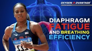 Diaphragm Fatigue And Breathing Efficiency [upl. by Herahab]