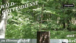 Waldgottesdienst aus Bokel  Himmelfahrtsgottesdienst 2022 [upl. by Esorylime]