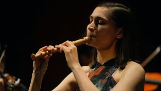 Sammartini Concerto in F for recorder and strings  Orquesta de Córdoba  Sophia Schambeck [upl. by Morville876]