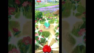 Shiny shaymin in pokemongo [upl. by Wernda]