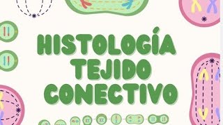 Histología del Tejido Conectivo Estructura y Función [upl. by Ranjiv405]