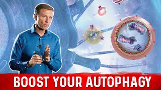 12 Ways to Trigger Autophagy [upl. by Attoynek]