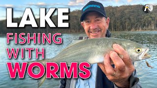 Lake Fishing STRATEGY with Beach Worms  An AWESOME Bait [upl. by Ahsiekal]