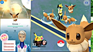 NINHO DE Eevee ATUALIZADO 2019  POKEMON GO [upl. by Clementi]