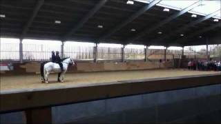 Police horse training at Writtle College [upl. by Eiramyllek]