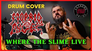 WHERE THE SLIME LIVE  MORBID ANGEL  DRUM COVER AS PLAYED BY PETE SANDOVAL  BY MAURICIO WEIMAR [upl. by Ydisahc727]