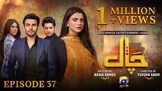 Chaal Episode 37  Eng Sub  Ali Ansari  Zubab Rana  Arez Ahmed  7th July 2024  HAR PAL GEO [upl. by Lenroc]