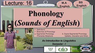 Phonology  Branches of Phonology  Lecture 16 LinguisticsI [upl. by Hollington]